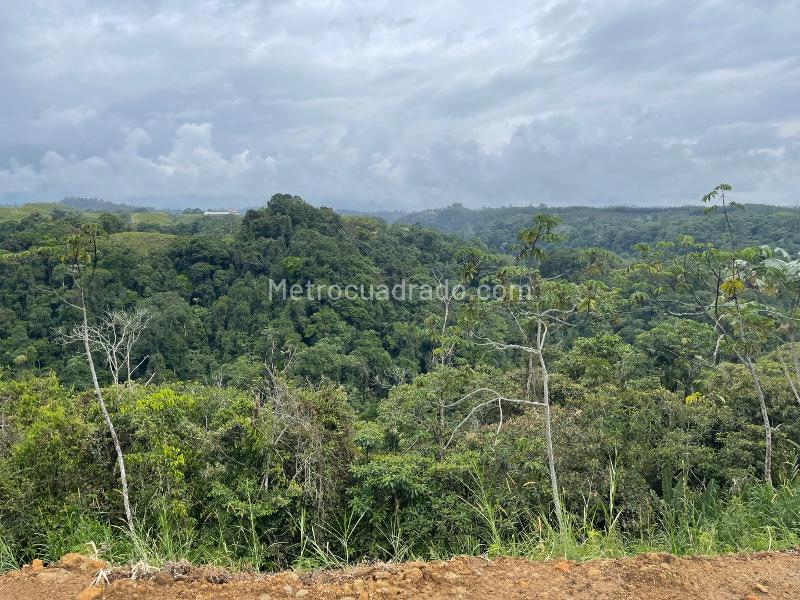 Lote en Venta, VEREDA TRIBUNAS Zona Urbana, Pereira - Vista 5