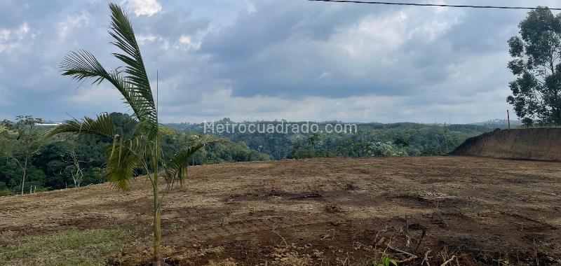 Lote en Venta, VEREDA TRIBUNAS Zona Urbana, Pereira - Más