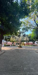 Casa en venta en El Jardin, Santa Marta · foto 3 de 7