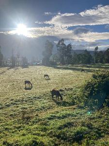 Apartamento en venta en San José De Bavaria, Bogotá · foto 15 de 18