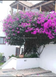 Apartamento en venta en Gratamira, Bogotá · foto 19 de 20