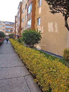 Apartamento en venta en Bochica Iii, Bogotá · foto 18 de 19