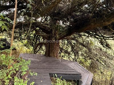 Casa de 4 alcobas en venta en Vereda Verjon Bajo, Bogotá · foto 13 de 20