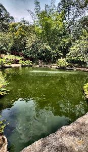 Apartamento de 3 alcobas en venta en Laureles Campestre, Medellín, 100 m² · foto 16 de 18