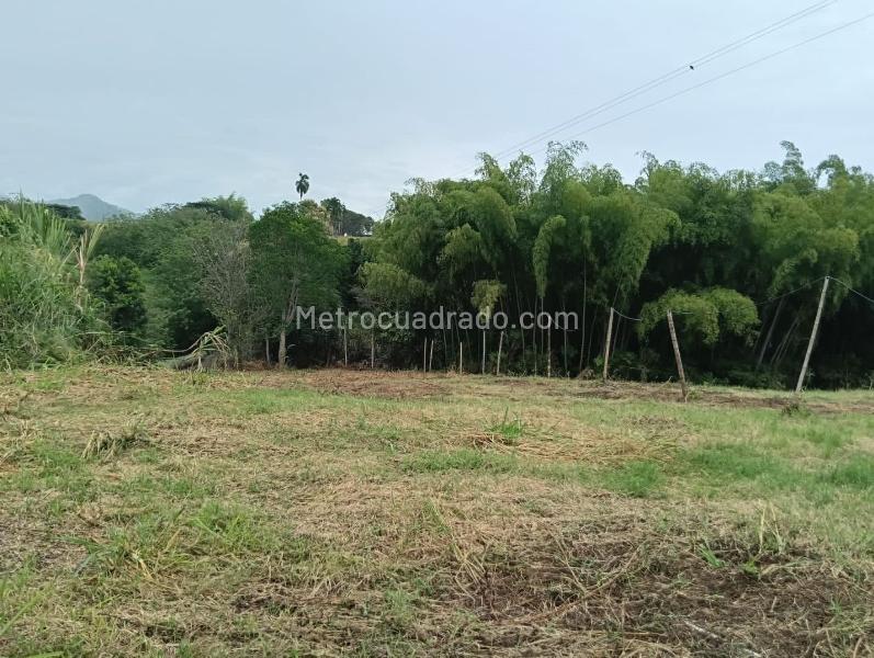 Lote en Venta, Cerritos, Pereira - Vista 5