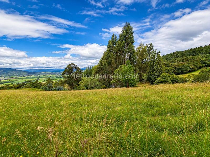 Lote en Venta, GRAN AMERICA Zona Urbana, Bogotá D.C. - Vista 5