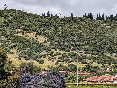 Casa de 3 alcobas en venta en Damasco, Chía, 189 m² · foto 16 de 18