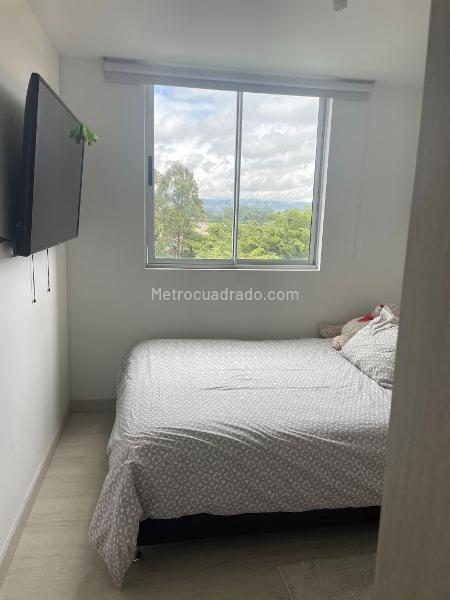 Piso – Rionegro - Más