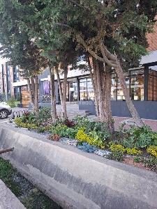 Apartamento en venta en Bosque Sabava Silvestre, Cajicá · foto 2 de 5