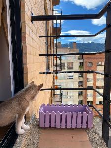 Apartamento en venta en Cedritos, Bogotá · foto 4 de 16