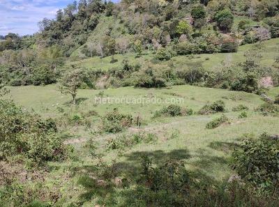 Apartamento en venta en Engativa, Bogotá · foto 2 de 7