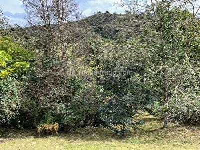 Casa en venta en Vereda San Rafael, La Calera · foto 14 de 15