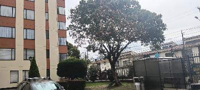 Apartamento de 3 alcobas en venta en Andes Norte, Bogotá, 114 m² · foto 14 de 17