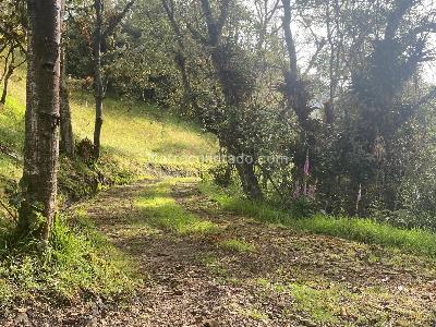 Casa en venta en Vereda Líbano, La Calera · foto 10 de 11