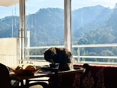 Apartamento en venta en Chapinero Alto, Bogotá · foto 8 de 8