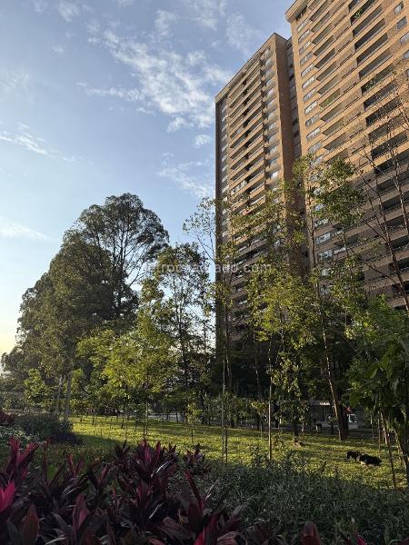 Apartamento en Arriendo, POBLADO CIUDAD DEL RIO Suroriente, Medellín