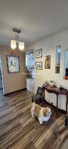 Casa de 5 alcobas en venta en Cedritos Contador Nuevo Contry, Bogotá, 252 m² · foto 6 de 20