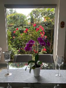Casa de 3 alcobas en arriendo en Bosque Residencial, Cajicá, 215 m² · foto 4 de 20