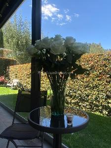 Casa de 3 alcobas en arriendo en Bosque Residencial, Cajicá, 215 m² · foto 9 de 20