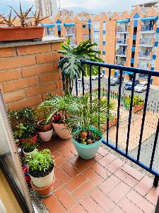 Apartamento de 4 alcobas en venta en Carlos E Restrepo, Medellín, 83 m² · foto 5 de 19