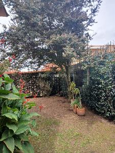 Casa de 4 alcobas en arriendo en Santa Bibiana, Chía, 221 m² · foto 11 de 15